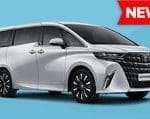 rental toyota alphard